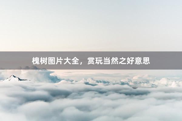 槐树图片大全，赏玩当然之好意思