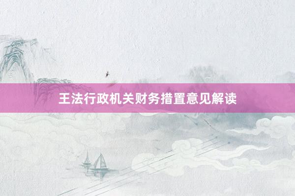 王法行政机关财务措置意见解读